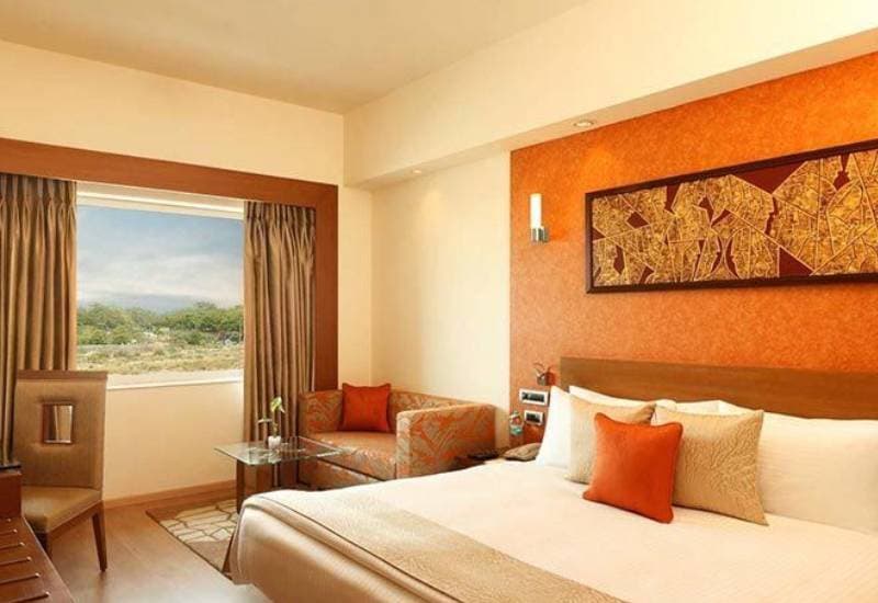 AEROCITY LEMON TREE DELHI view 3