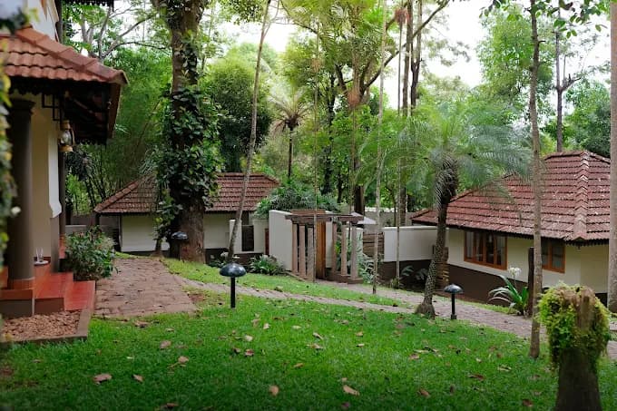 Greenwoods Resort, Thekkady view 4