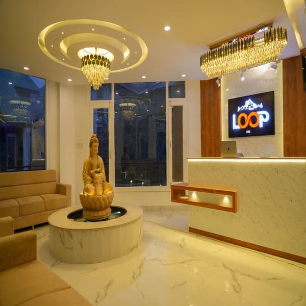 Hotel Loop Inn – Manali view 4