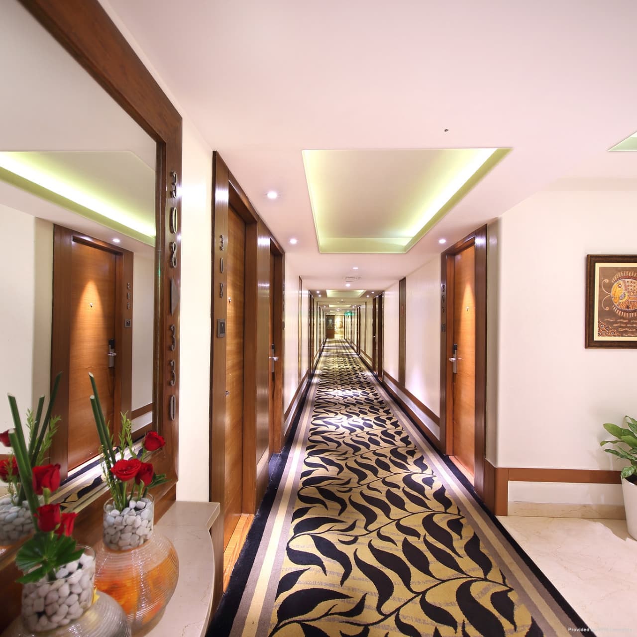 Hotel Maurya view 3
