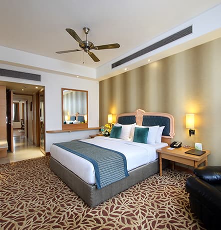 Hotel Maurya view 4
