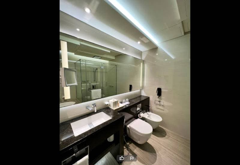 Hyatt Regency Dubai Creek Heights view 4