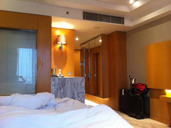Hyatt Regency Gurgaon view 3