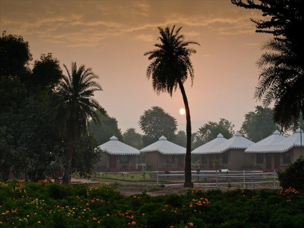 Lohana Village Resort - Pushkar view 4