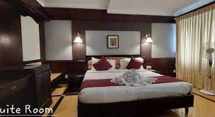 Maxi Munnar T&U Leisure Hotel view 3