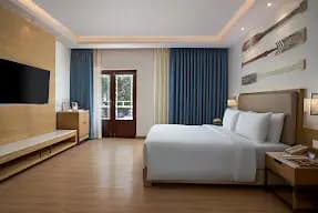 Radisson Hotel Goa Candolim view 3