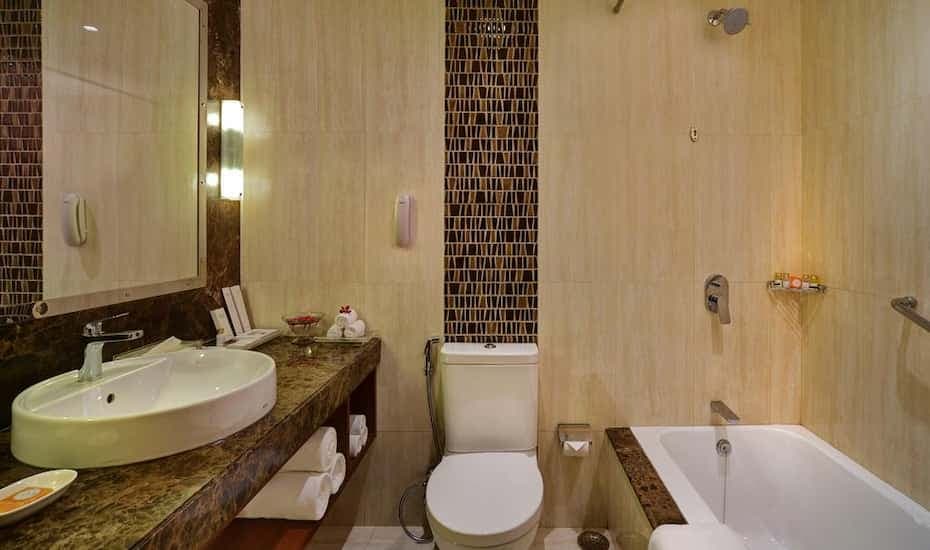 Radisson Jaipur City Center view 4