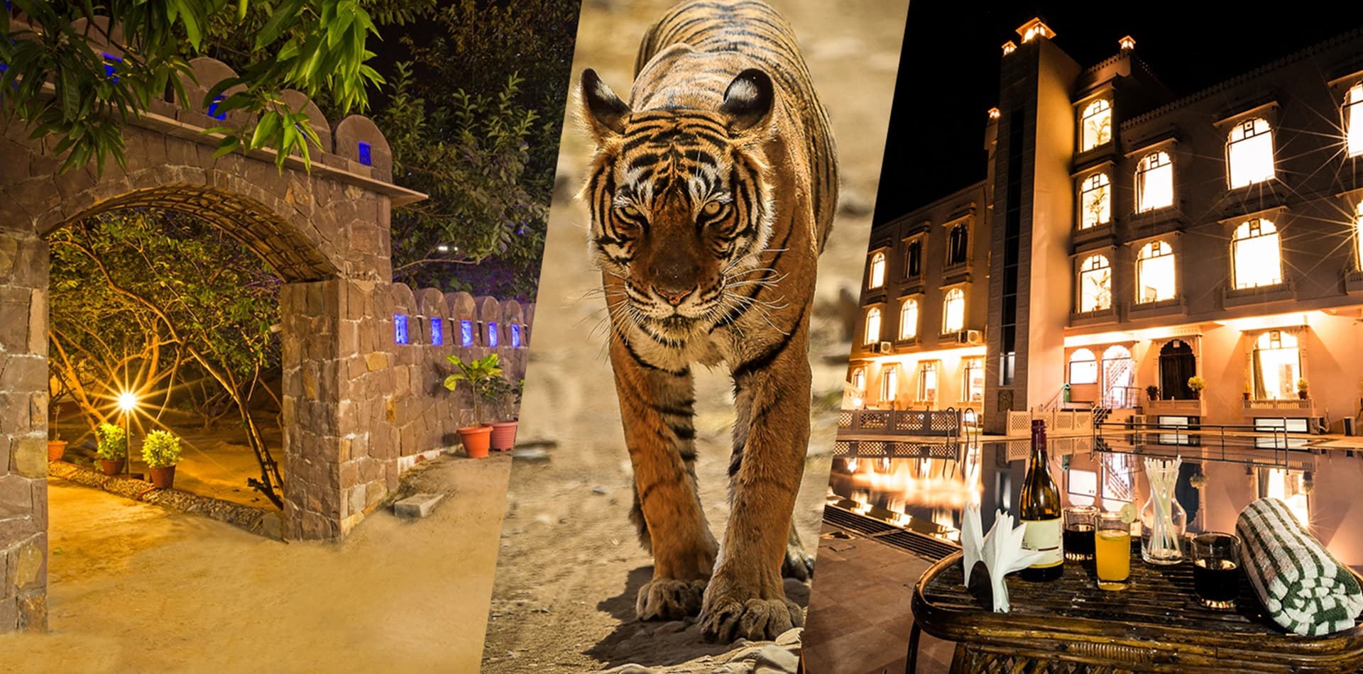 RANTHAMBORE NATIONAL RESORT - Ranthambore view 4