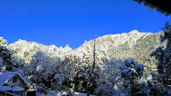 The Fern Villas, Nainital view 3