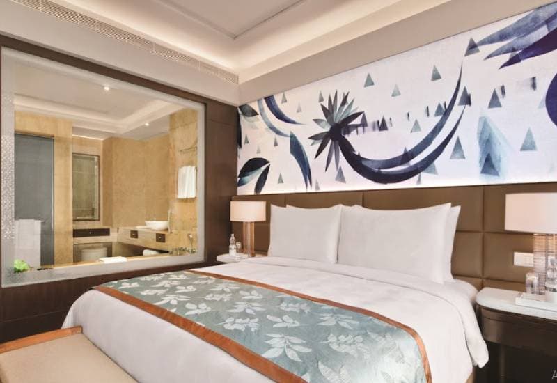 The Leela Ambience Convention Hotel Delhi view 2