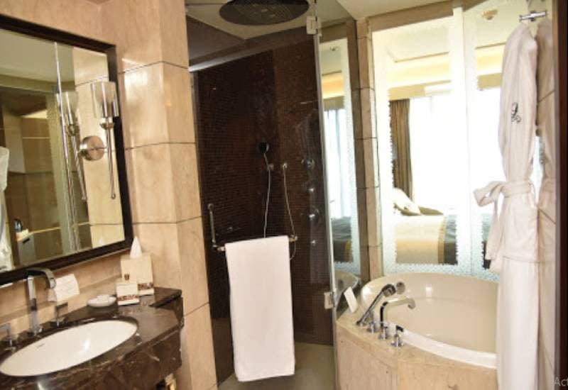 The Leela Ambience Convention Hotel Delhi view 3