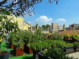 Urban Garden Hotel view 4