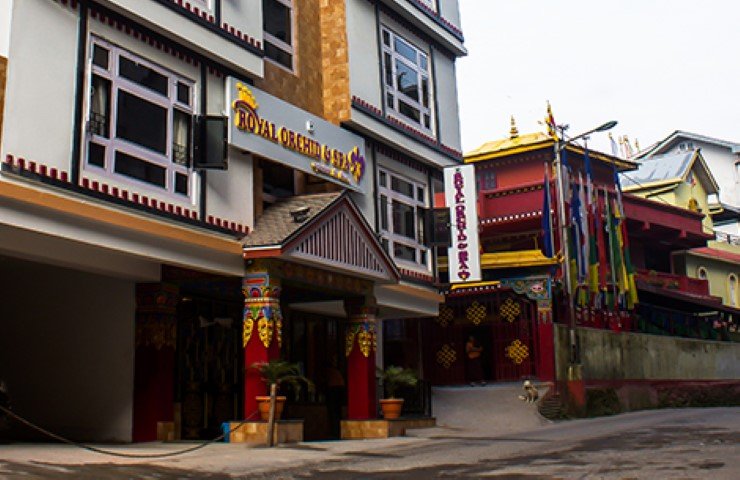 Gallery Photo